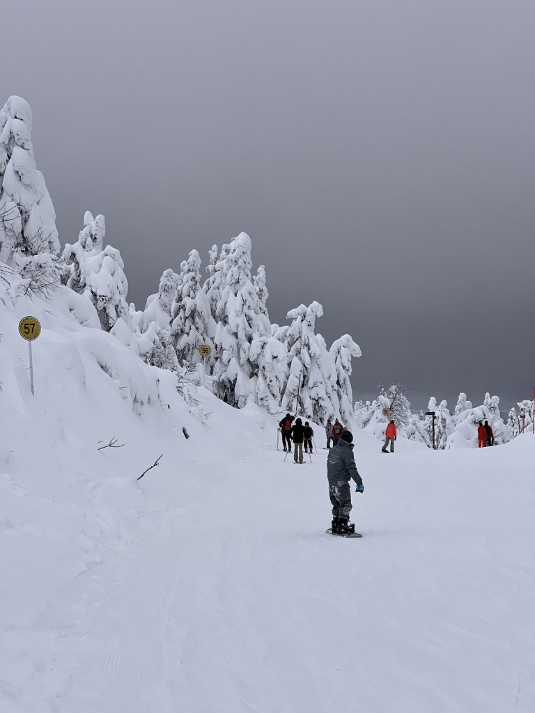 Pistes de ski du mont Zao